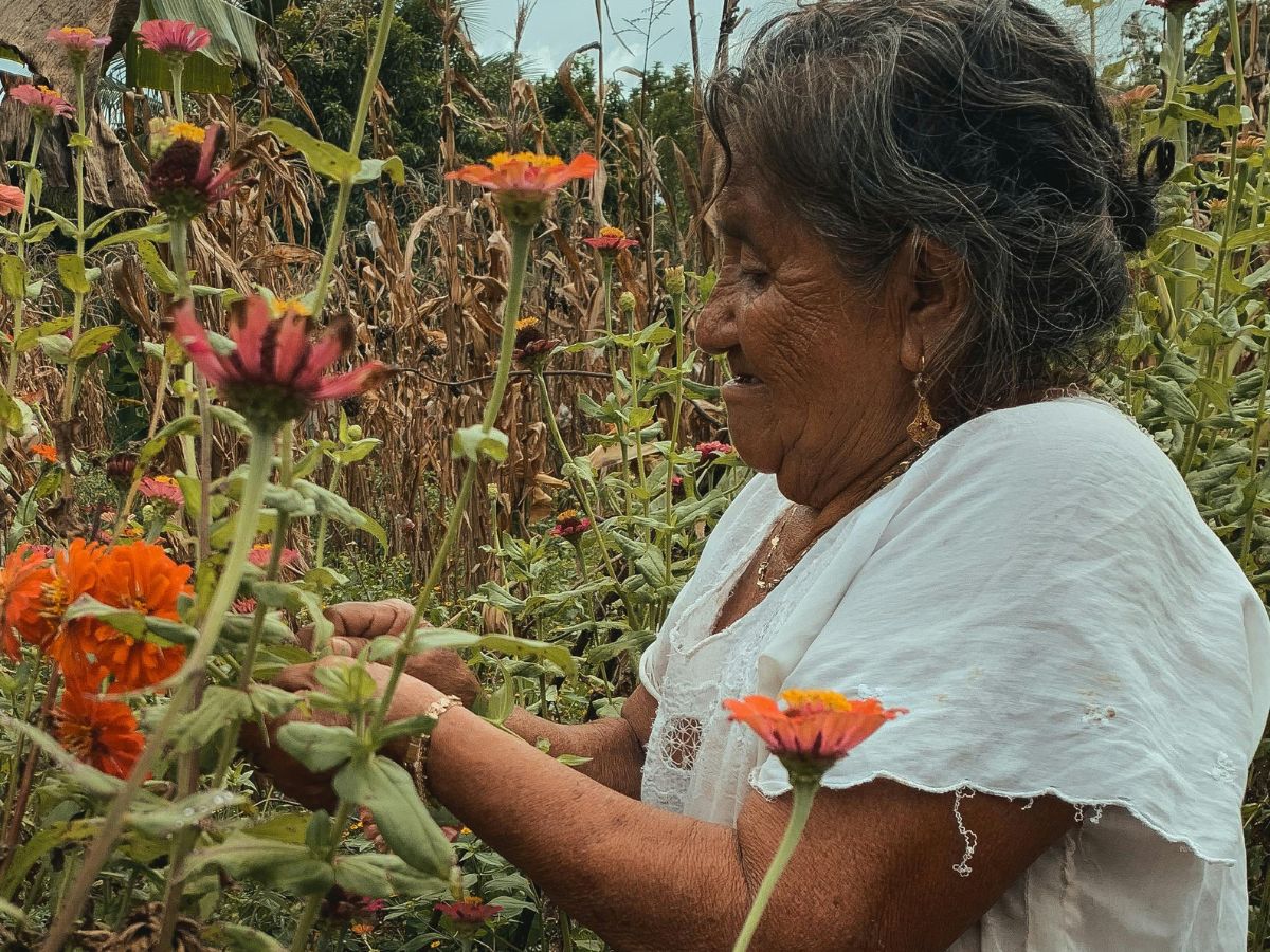 Amar y proteger la tierra